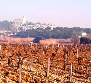 chateauneuf du pape